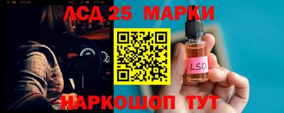 spice Славгород